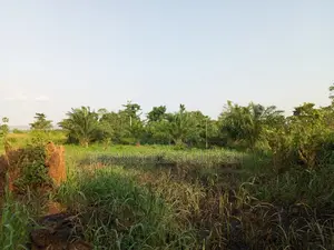E.R, Koforiduah (Obuortumpan) _ 6 Plots Building Land