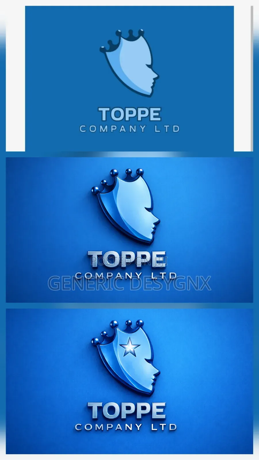 3d Logo Design for Business ; Professional