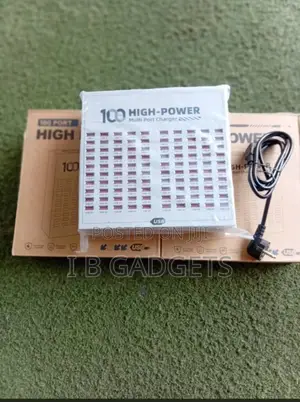 100 High-Power Multi Port Charger: