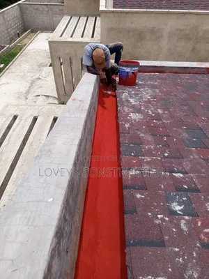 Roof Leakages Professional