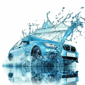 Car Wash Services