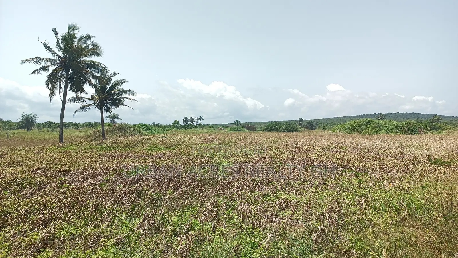 Central Region, Senya Beraku (Kubekro) _ 5+ Acres Oceanfront Land