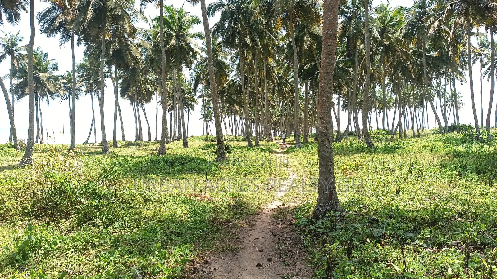 Central Region, Senya Beraku (Kubekro) _ 5+ Acres Oceanfront Land