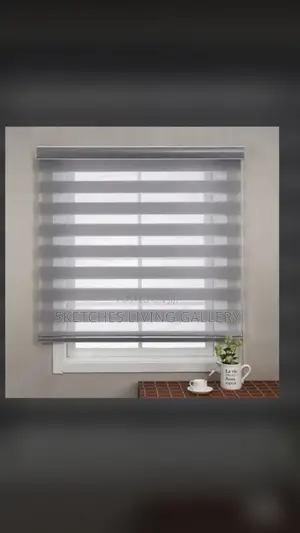 Stylish Window Blinds