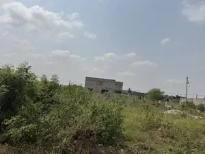 2 Plots of Land at Amrahia for Sale
