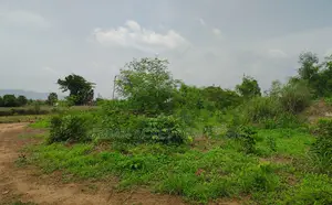 Volta Region, Ho (New Stadium) _ 1 Plot (80' X 100') Land