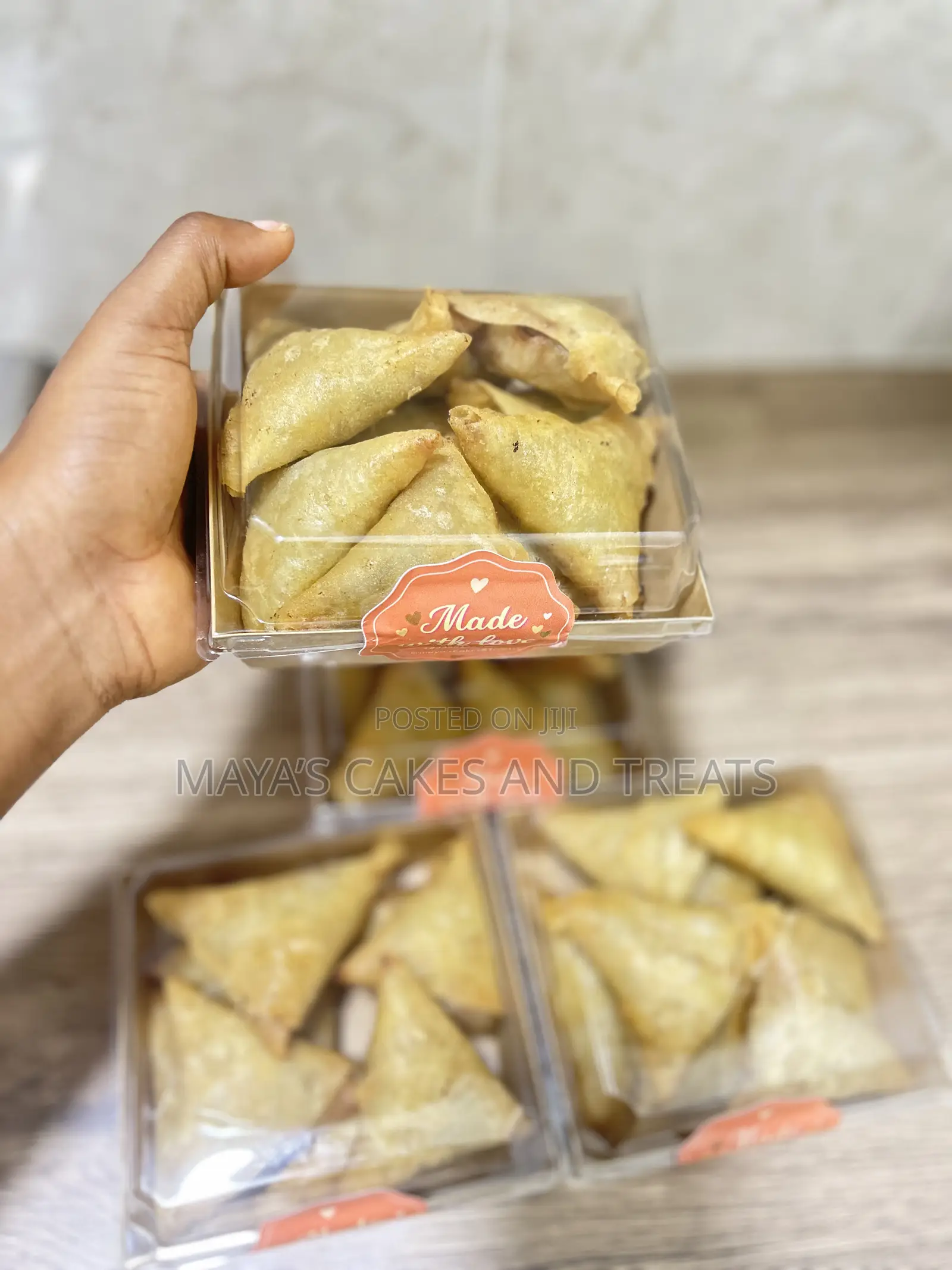 Fried Spring Roll and Samosa