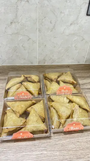 Fried Spring Roll and Samosa