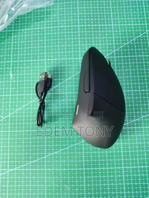 Black Vertical Ergonomic Wireless Mouse
