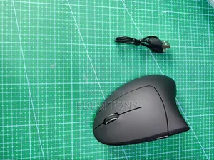 Black Vertical Ergonomic Wireless Mouse
