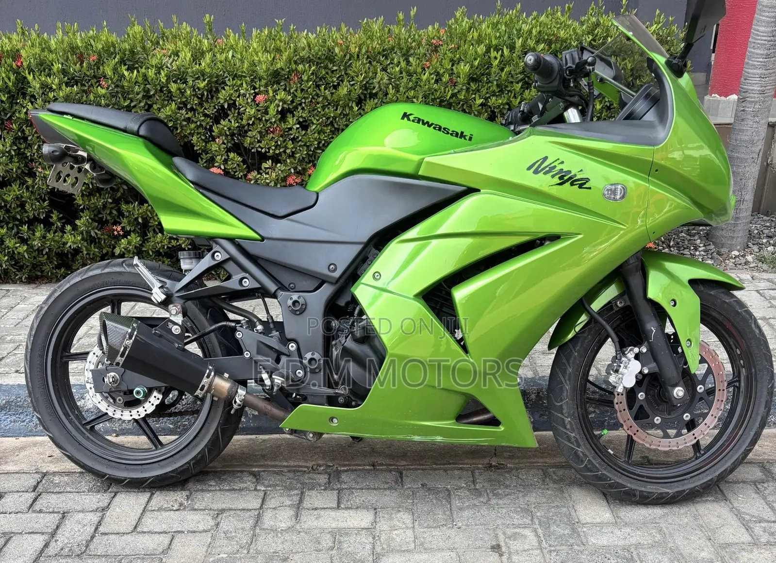 Kawasaki Ninja 300 2014 Green