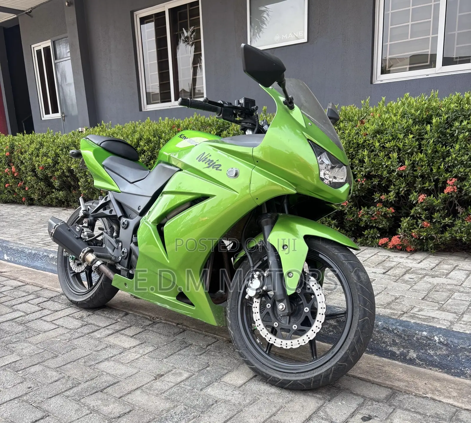 Kawasaki Ninja 300 2014 Green