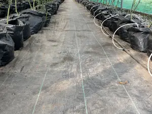 Qualify Greenhouse for Sale 66ft/20.12m, Width 26ft/7.92m