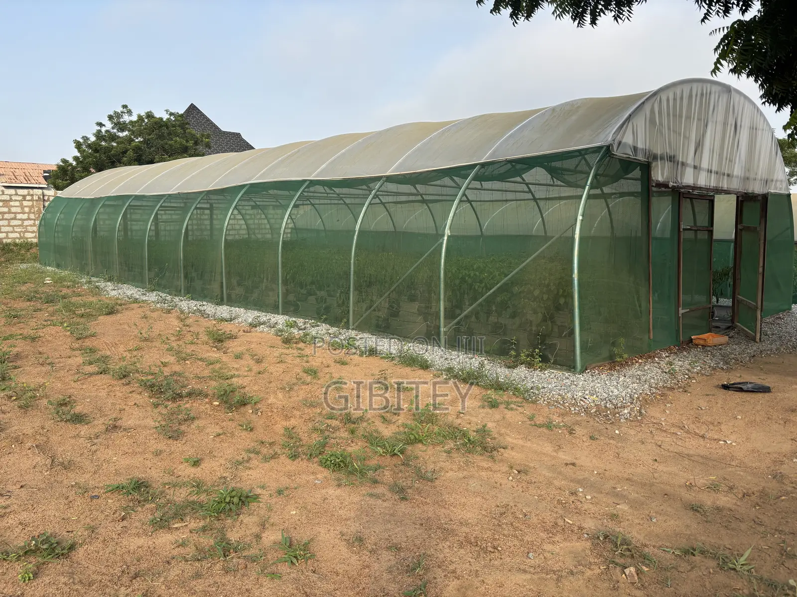 Qualify Greenhouse for Sale 66ft/20.12m, Width 26ft/7.92m