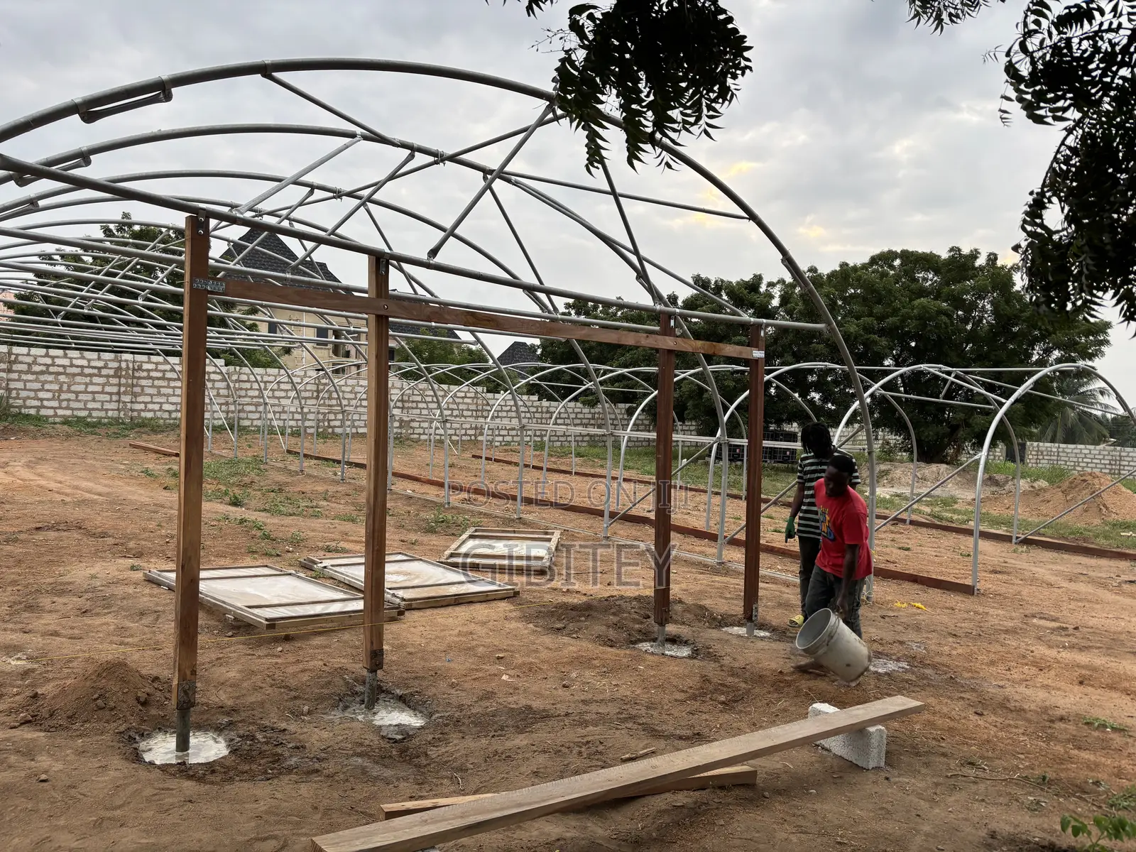 Qualify Greenhouse for Sale 66ft/20.12m, Width 26ft/7.92m