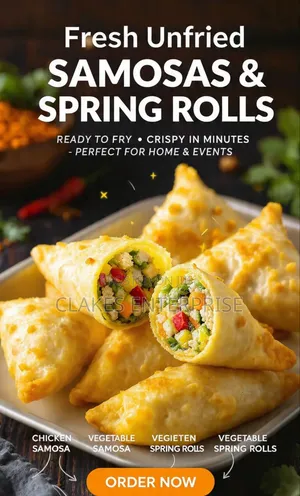 Frozen Samosa and Spring Roll