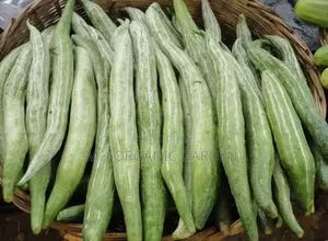 Snake Gourd Seeds –40 Seeds for 50 Cedis