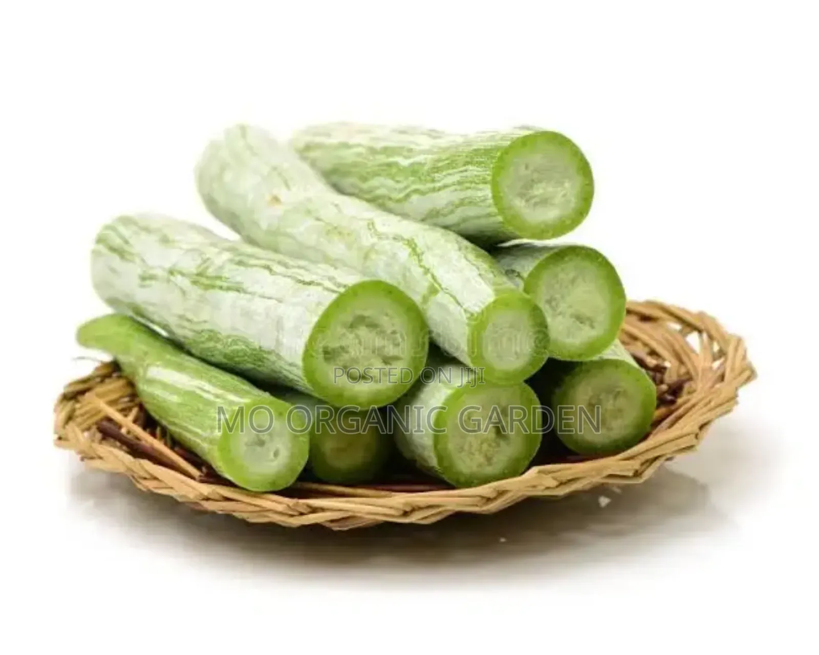 Snake Gourd Seeds –40 Seeds for 50 Cedis