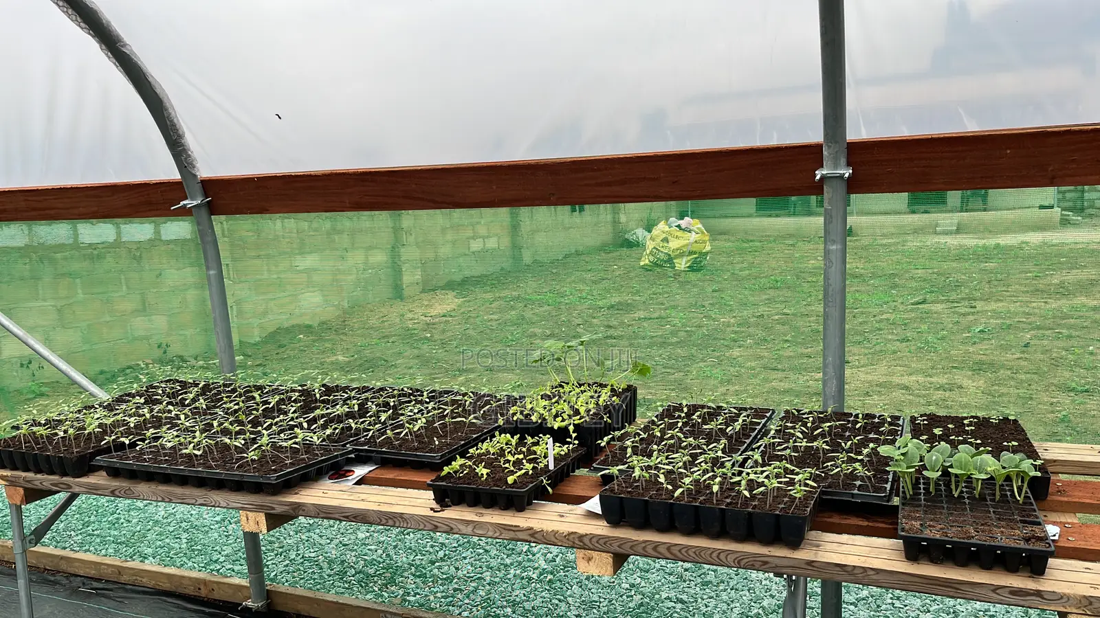 Qualify Greenhouse For Sale 30ft/9.14m, Width 16ft/4.88m