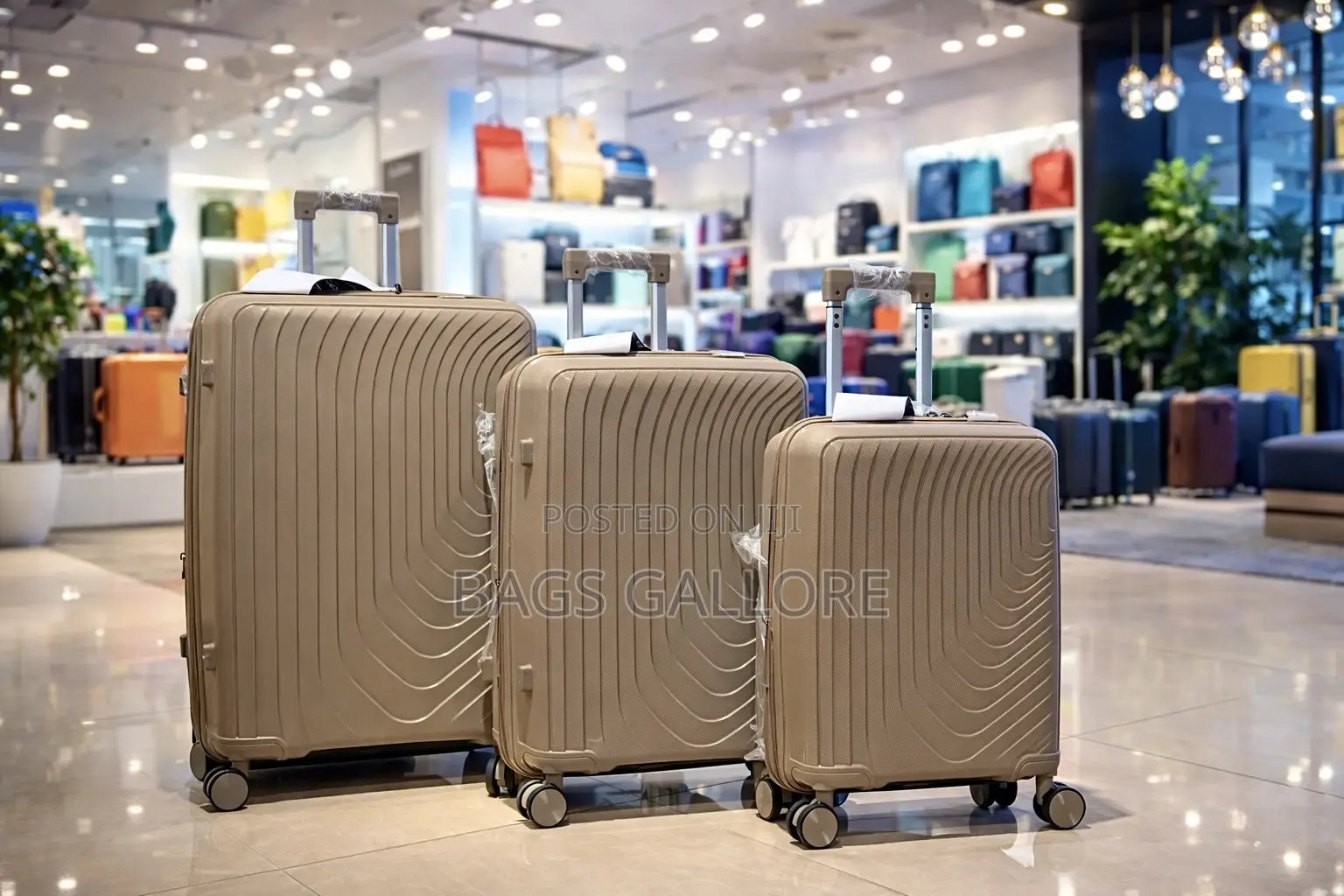 Double Zipper Luggage