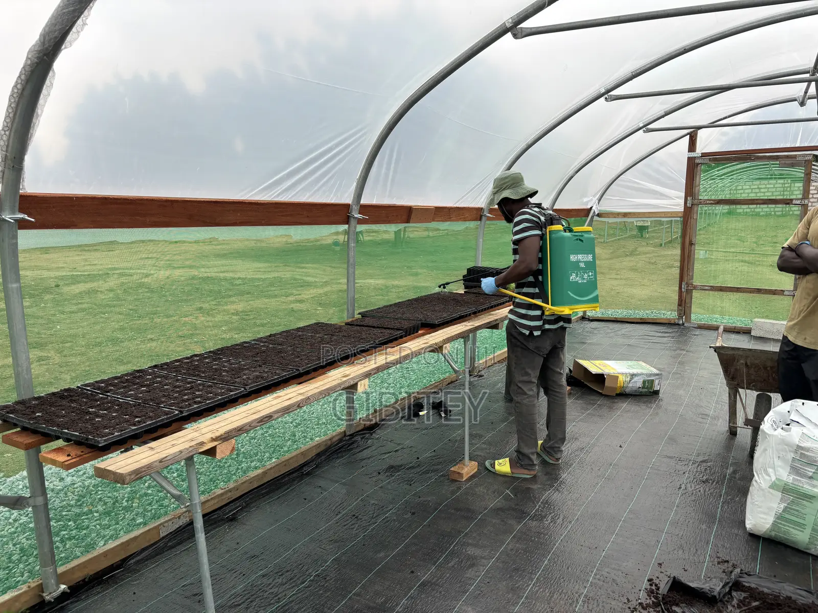 Qualify Greenhouse For Sale 30ft/9.14m, Width 16ft/4.88m