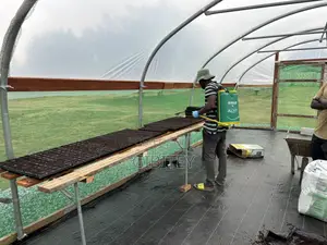Qualify Greenhouse For Sale 30ft/9.14m, Width 16ft/4.88m