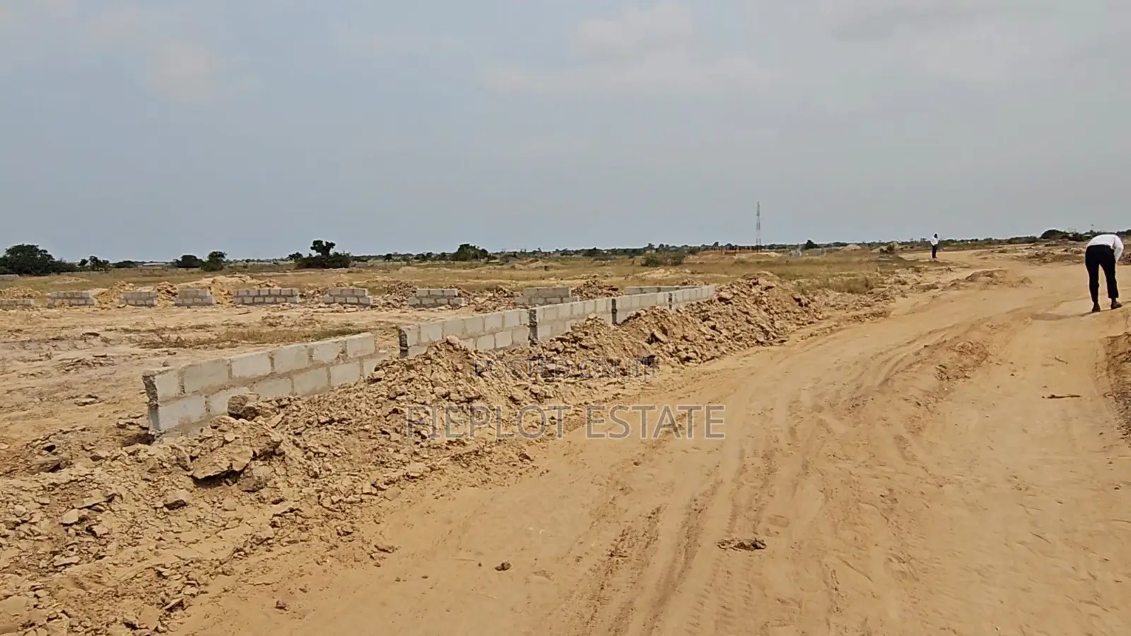 Prime Half Plot With Strong Road Access at Tsopoli Skyport City
