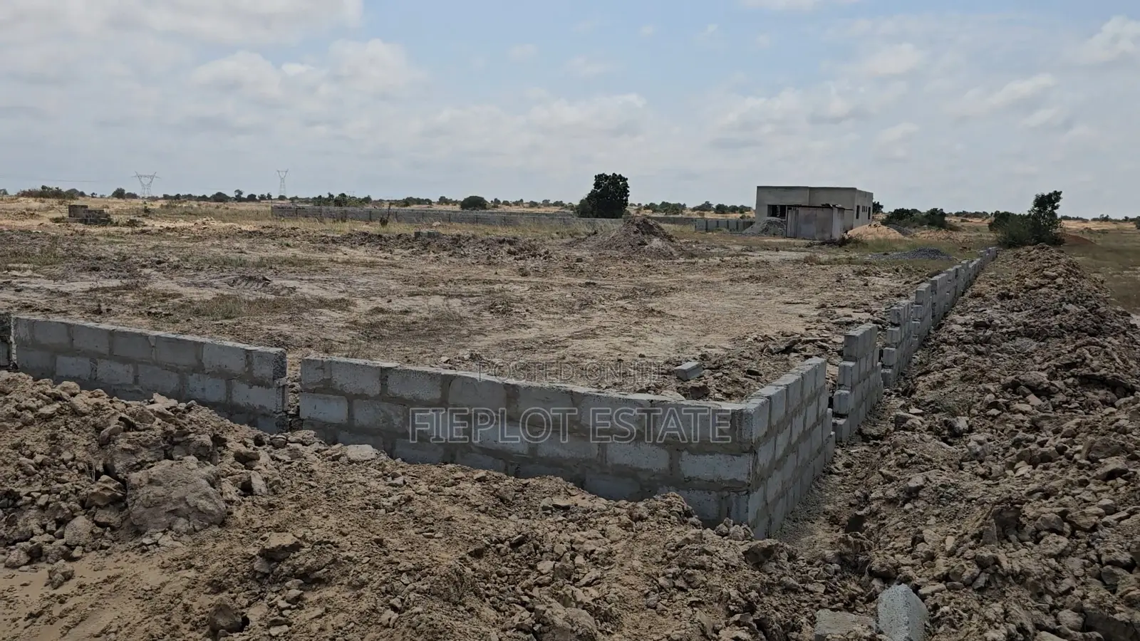 Ready-to-Build Registered Half Plot at Tsopoli Skyport City
