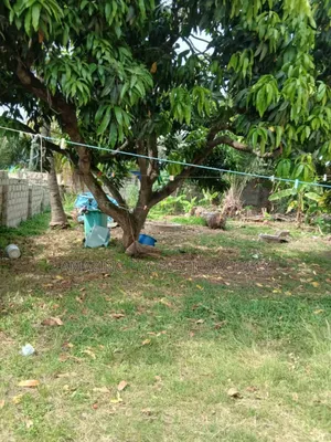 2plots of Land for Sale at East Legon American House