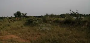 Land for Sale at Amasaman