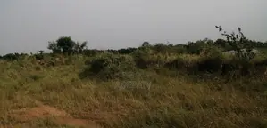 Land for Sale at Amasaman