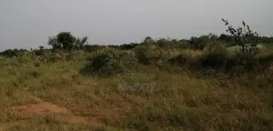 Land for Sale at Amasaman