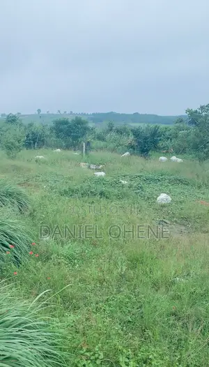 Land for Sale