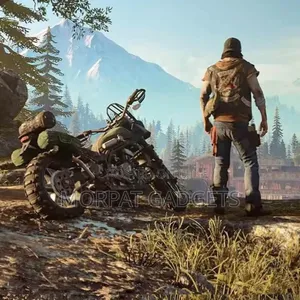 Days Gone Installation Services [Windows]