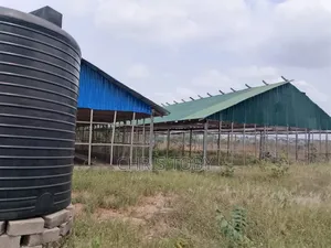 Intended Poultry Farm on 13 Acres of Land