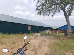 Intended Poultry Farm on 13 Acres of Land