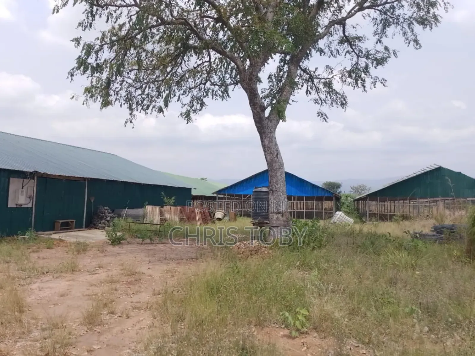 Intended Poultry Farm on 13 Acres of Land