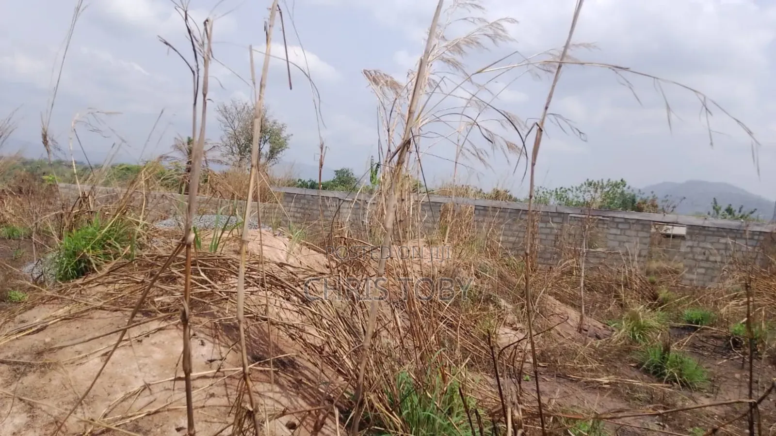 Intended Poultry Farm on 13 Acres of Land