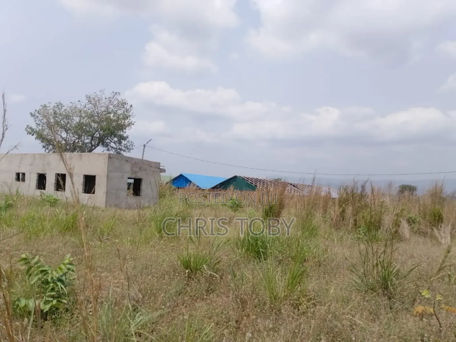 Intended Poultry Farm on 13 Acres of Land