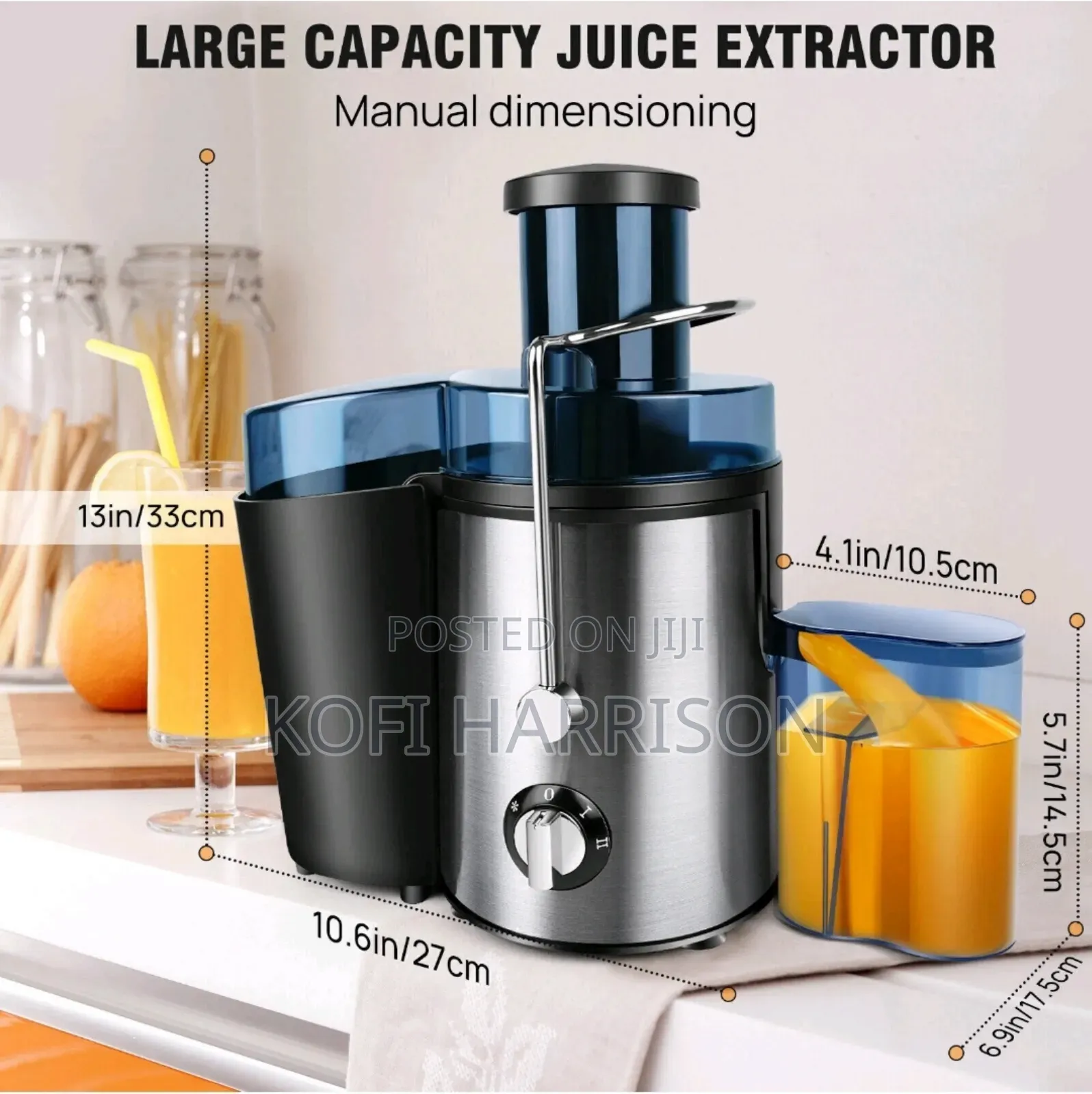 Fruit Juicer