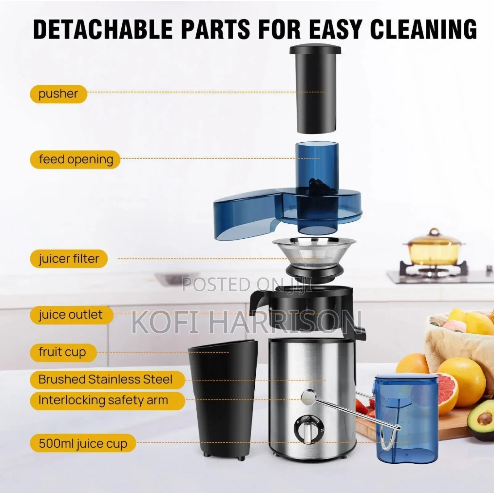 Fruit Juicer