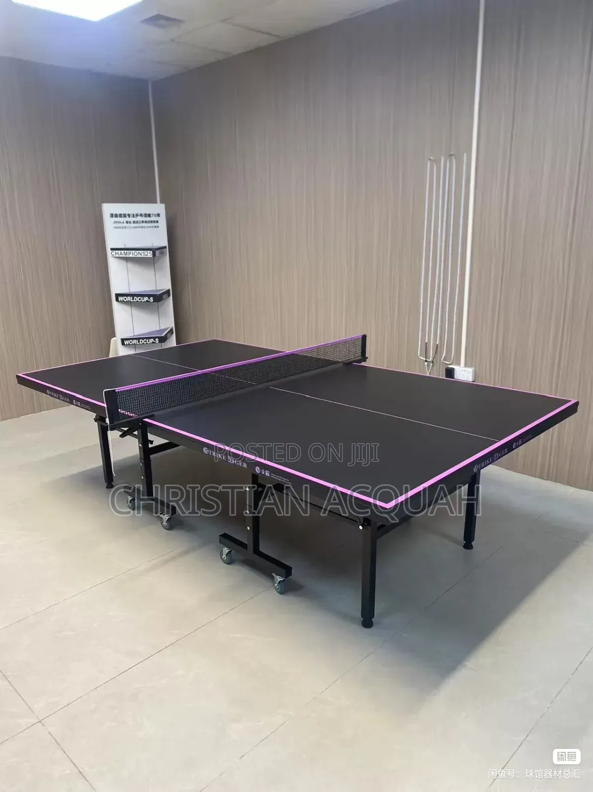 Table Tennis for Rent
