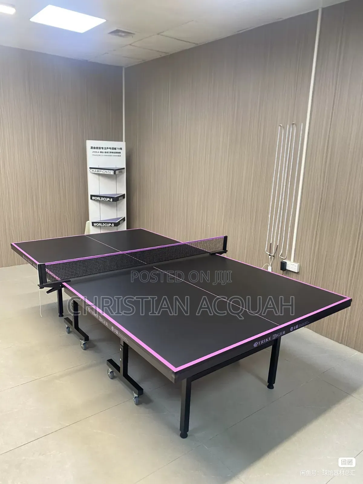 Table Tennis for Rent
