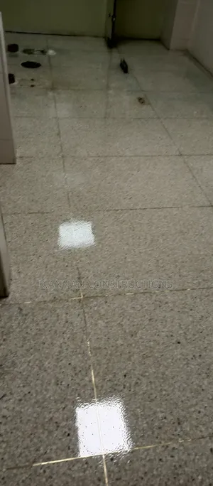 Terrazzo Floors and Walls