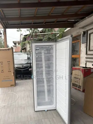 Newest Version 260 Liters Singledoor Nasd1-33 Grey Standing Freezer