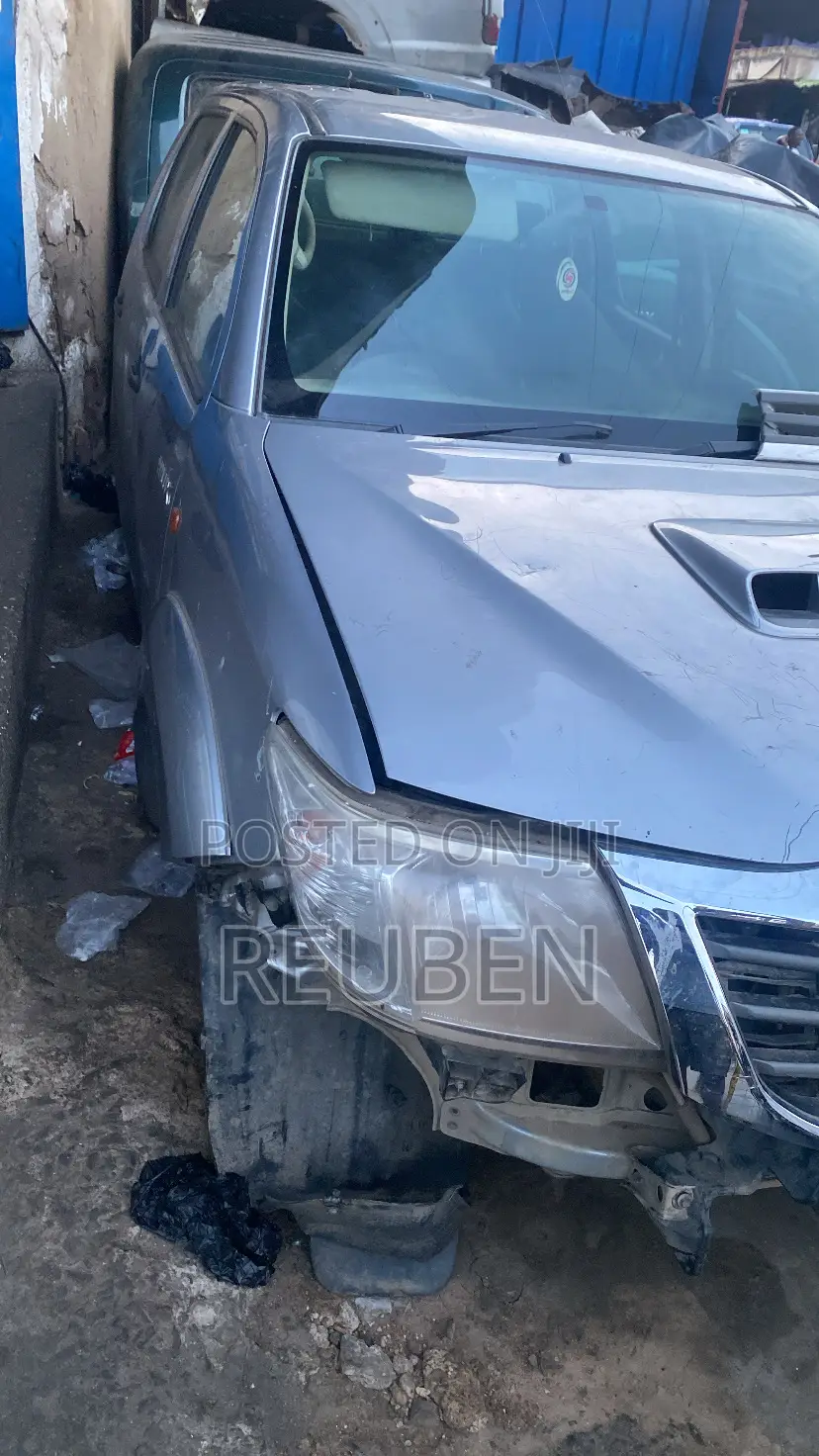 Toyota Hilux Full Body Cut