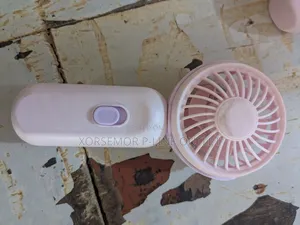 Lovely Personal Hand Fan