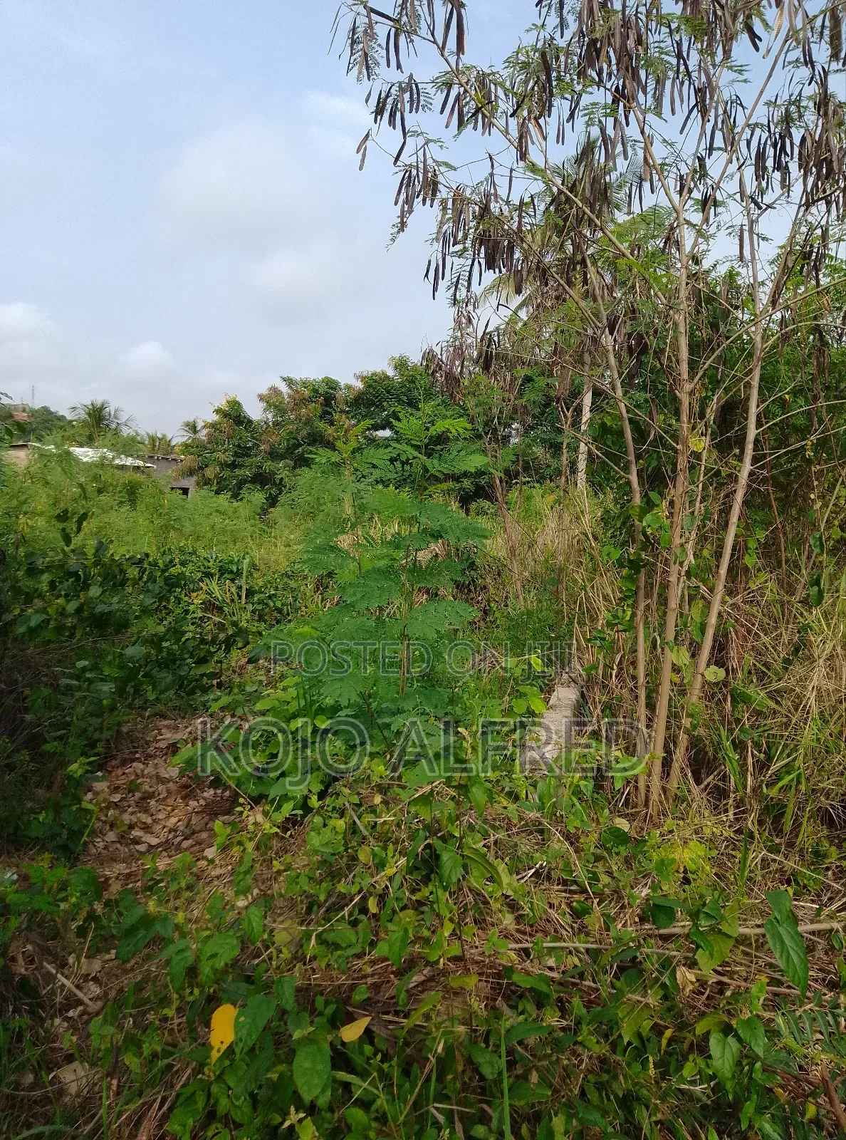 Registered One Plot of Land at Moree for Sale