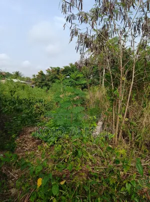 Registered One Plot of Land at Moree for Sale