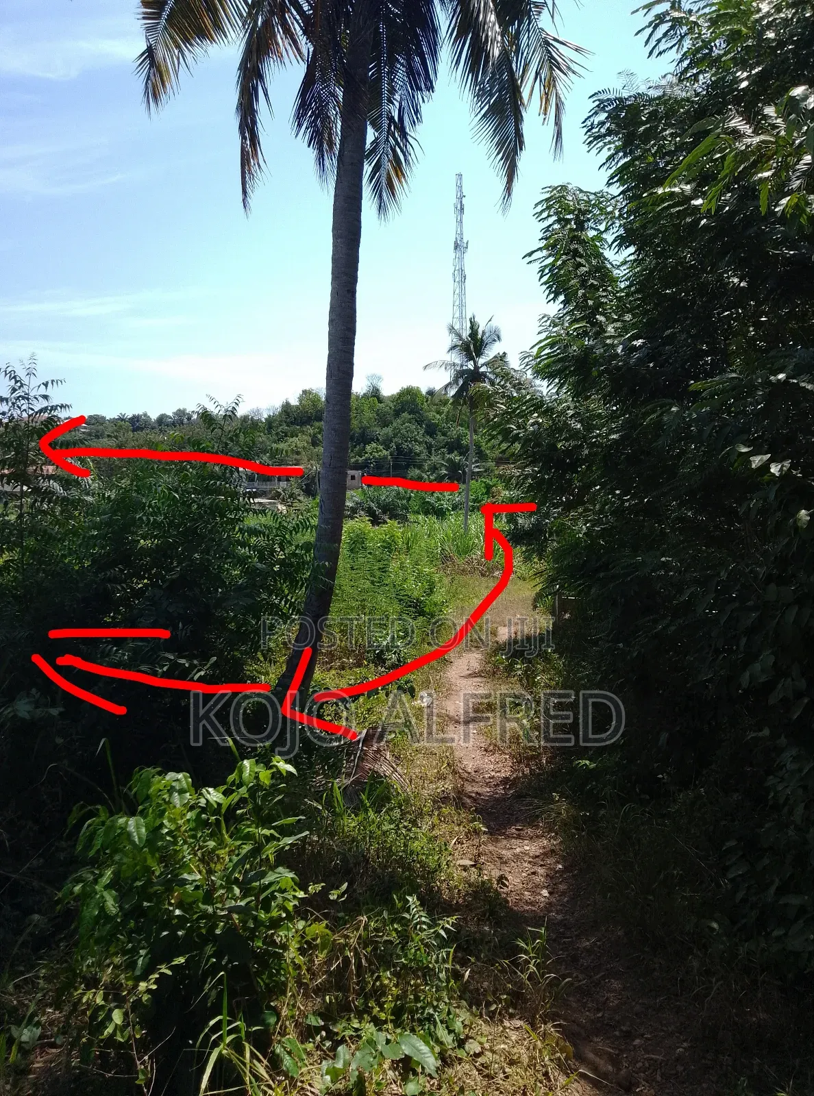 Registered One Plot of Land at Moree for Sale